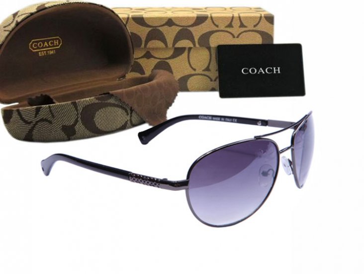 Coach Sunglasses 8015 | Women